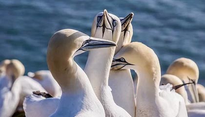 风向标资金逆势入场！砸450亿抄底，更连续12天南下扫货，买了啥？