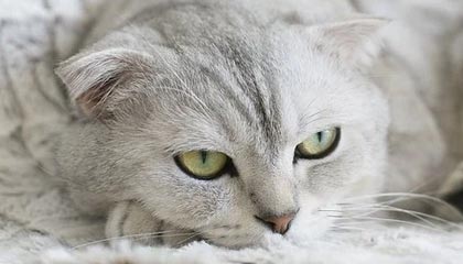 负气价再现！欧洲储气罐满了，美国天然气价格跌至负值，什么原因？