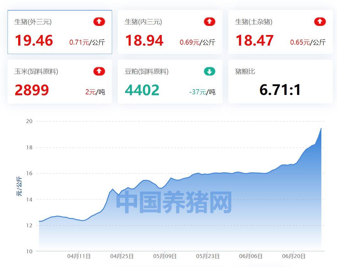 生猪期货强势站上2万大关<strong></p>
<p>恒泰期货</strong>,猪周期能有多高?业内人士分析