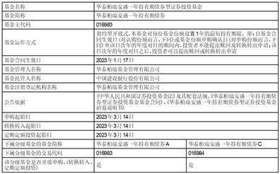 华泰柏瑞安盛一年持有期债券型证券投资基金开放日常申购、转换转入、 定期定额投资等业务公告