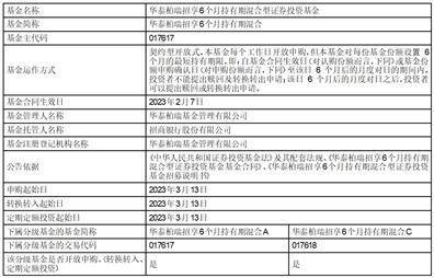华泰柏瑞安盛一年持有期债券型证券投资基金开放日常申购、转换转入、 定期定额投资等业务公告