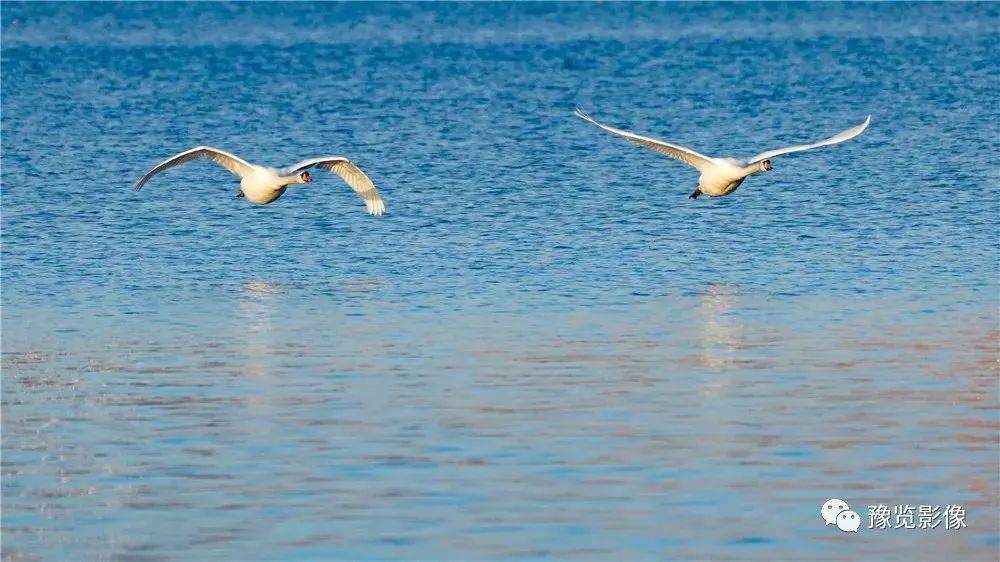 每天3分钟 尽览天下事(下雪了<strong></p>
<p>国王期货</strong>!郑州启动道路结冰Ⅳ级应急响应/这事千万不能干!郑州28人被刑拘/马航MH17坠机案调查工作暂停)