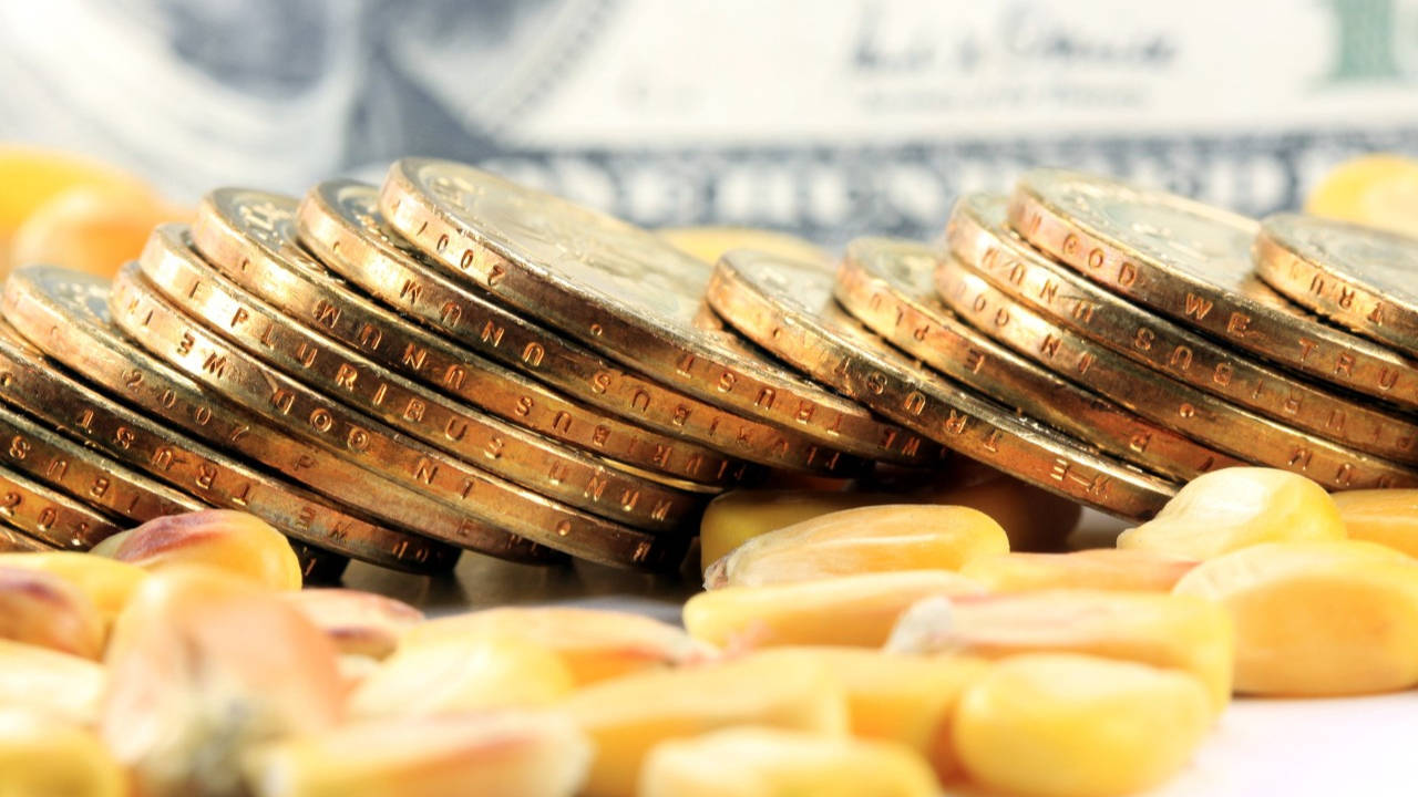 今日看点 | 广期所：工业硅期货、期权品种套期保值交易手续费减收50%