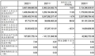 安徽鑫科新材料股份有限公司2022年度报告摘要