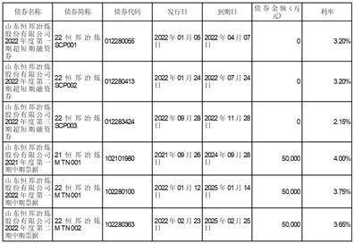 山东恒邦冶炼股份有限公司2022年度报告摘要