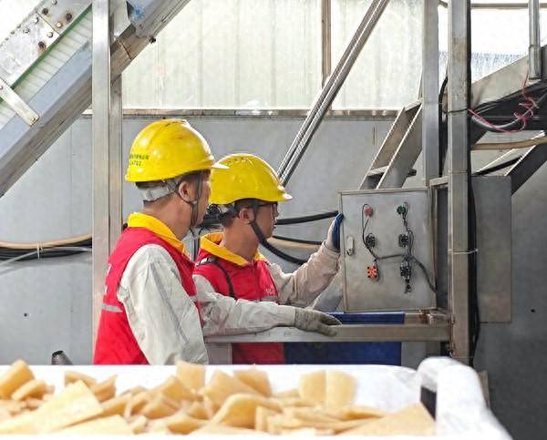 村网共建 满电量助力粉条飘香