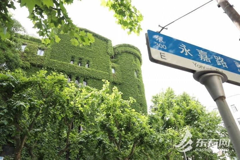 上海“网绿”大楼通体长满爬山虎<strong></p>
<p>满币网</strong>,晋升初夏打卡新地标