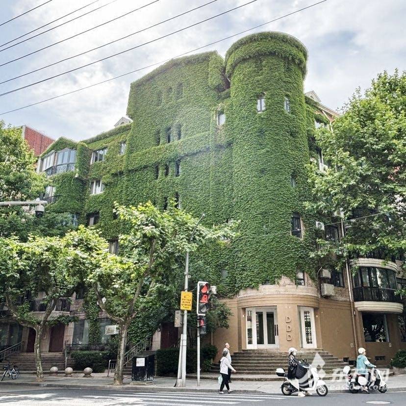 上海“网绿”大楼通体长满爬山虎<strong></p>
<p>满币网</strong>,晋升初夏打卡新地标