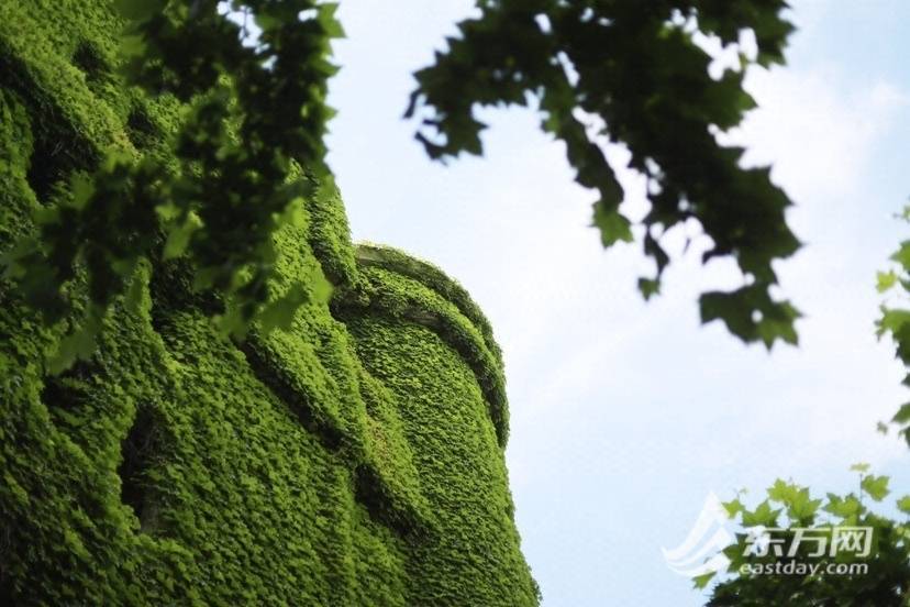 上海“网绿”大楼通体长满爬山虎<strong></p>
<p>满币网</strong>,晋升初夏打卡新地标
