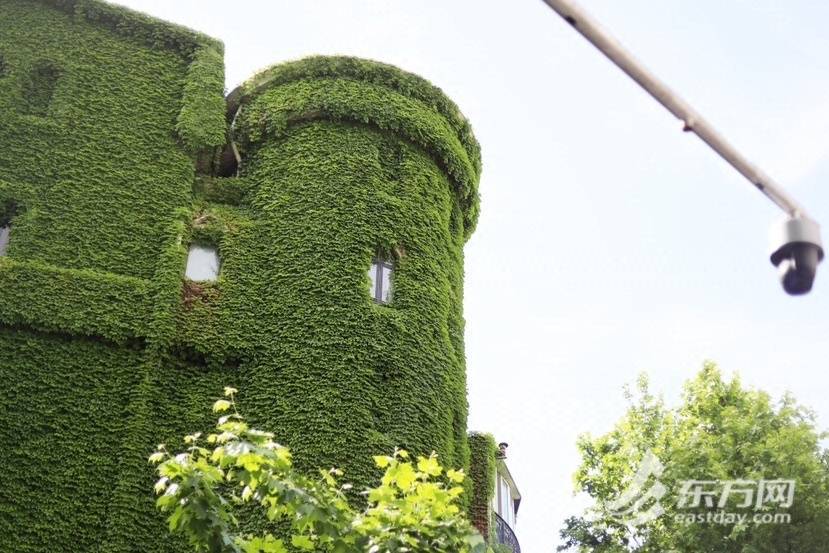 上海“网绿”大楼通体长满爬山虎<strong></p>
<p>满币网</strong>,晋升初夏打卡新地标