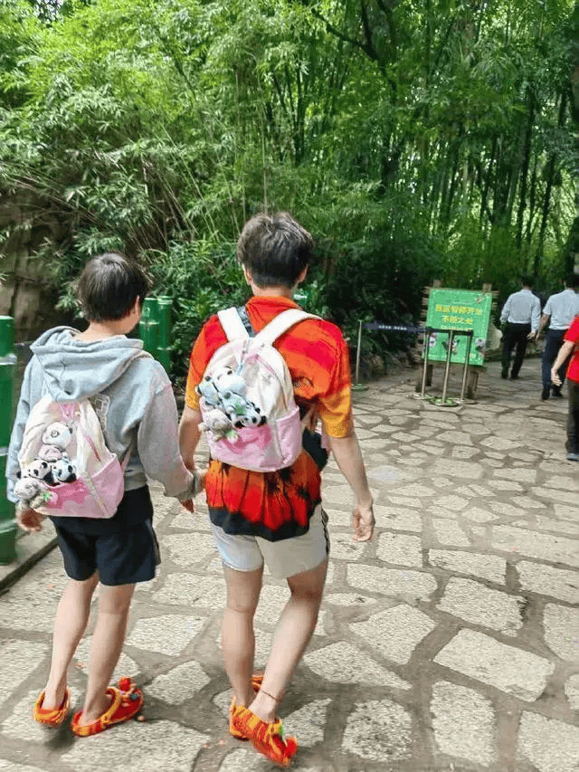 热搜第一<strong></p>
<p>牛币圈</strong>！全红婵的朋友圈有多牛