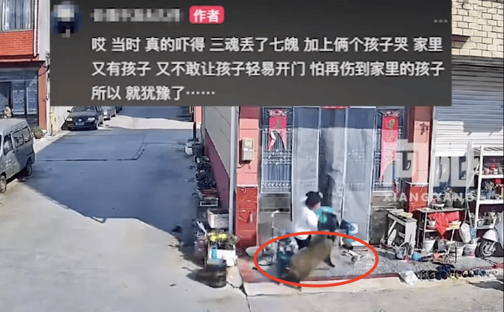 街头横冲直闯<strong></p>
<p>币币钱包</strong>,抱娃女子被撞伤,警方:已被特警击毙