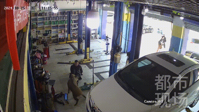 街头横冲直闯<strong></p>
<p>币币钱包</strong>,抱娃女子被撞伤,警方:已被特警击毙