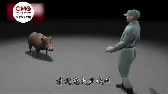 街头横冲直闯<strong></p>
<p>币币钱包</strong>,抱娃女子被撞伤,警方:已被特警击毙