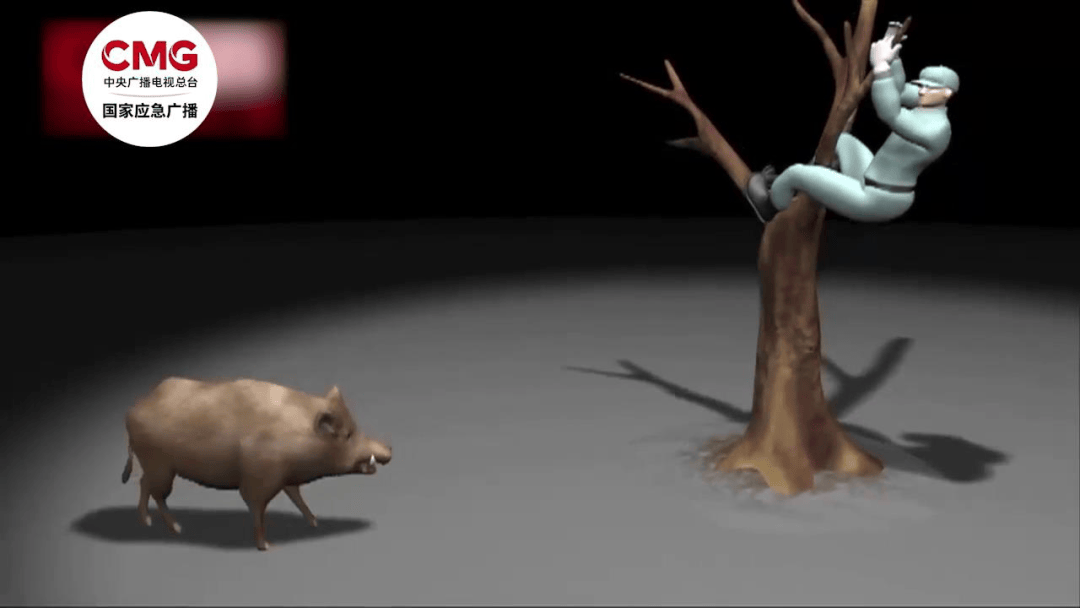 街头横冲直闯<strong></p>
<p>币币钱包</strong>,抱娃女子被撞伤,警方:已被特警击毙