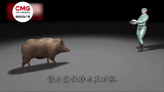 街头横冲直闯<strong></p>
<p>币币钱包</strong>,抱娃女子被撞伤,警方:已被特警击毙