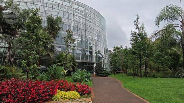 “可以蒸蛋”!昆明一女子家中搓衣板上长菌<strong></p>
<p>求软件</strong>,品种竟是……