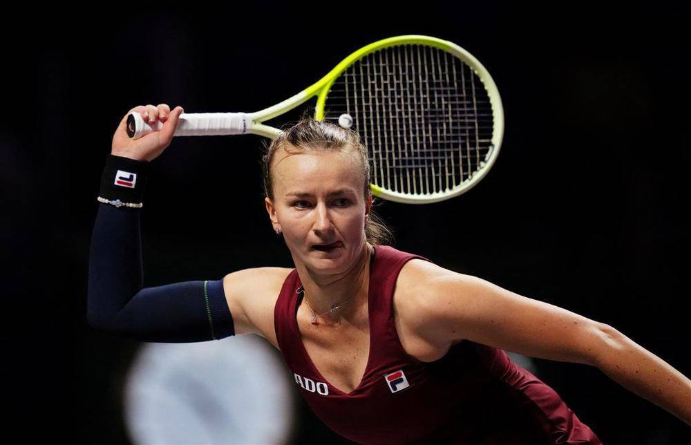 郑钦文vs克雷吉茨科娃<strong></p>
<p>软件配置</strong>!WTA年终总决赛半决赛对阵出炉