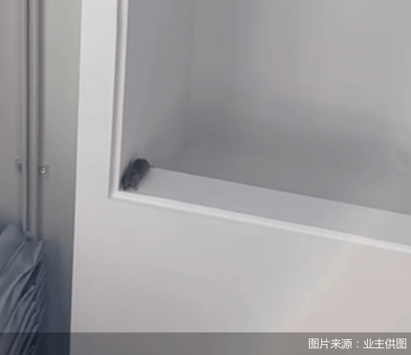 老鼠乱窜、直饮水发黄<strong></p>
<p>交易者指数</strong>，北京业主千万元买的和锦诚园居然是这样