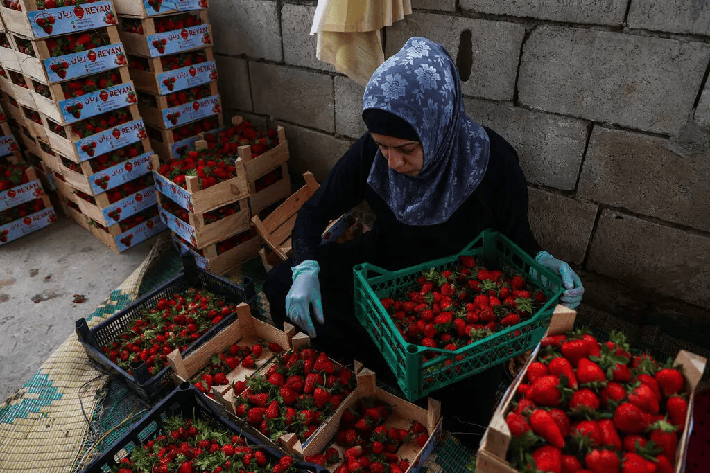 叙利亚战火持续<strong></p>
<p>zec币行情</strong>,攻下阿勒颇的反对派武装到底什么来头?在下一盘什么棋?