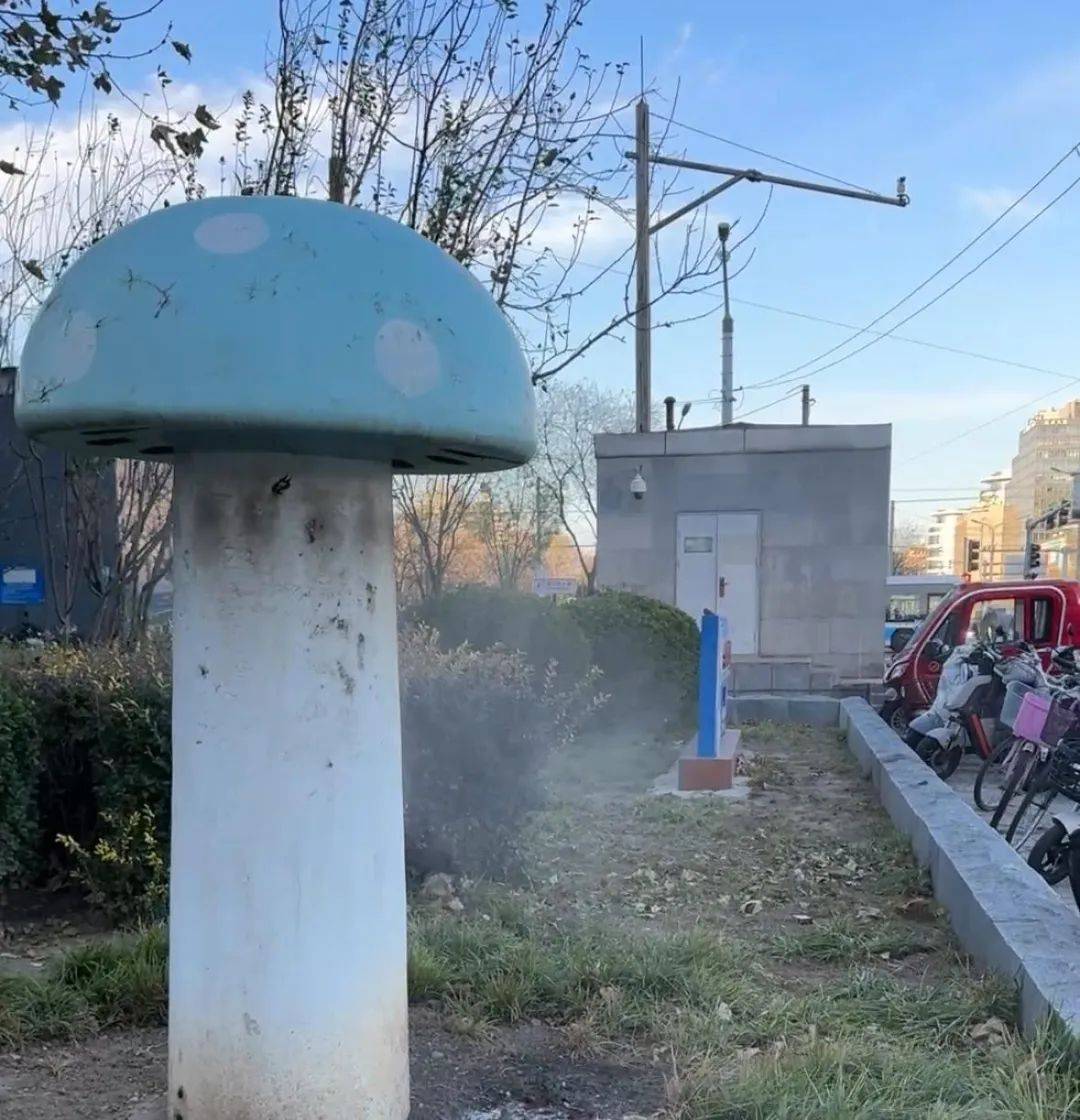 北京街头2米高神秘“蘑菇”<strong></p>
<p>币交易软件</strong>,你见过吗?网友大胆猜想……