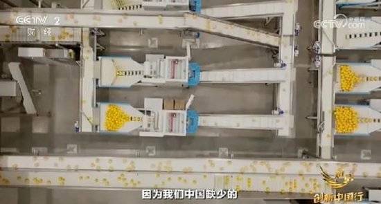 2024年末央视再度专访钟睒睒<strong></p>
<p>eth币网</strong>,背后有何深意?