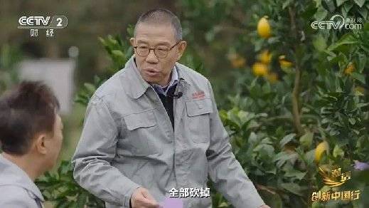 2024年末央视再度专访钟睒睒<strong></p>
<p>eth币网</strong>,背后有何深意?