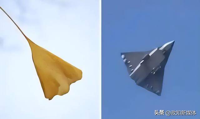 东部战区元旦发布重磅视频:银杏叶、飞鸟图出镜