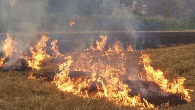 唐山各乡镇、村落一律禁止<strong></p>
<p>有币网</strong>!多名村民被罚