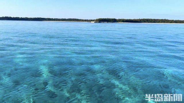 青岛女子买下70万平米小岛后续来了：目前没打算私有<strong></p>
<p>交易性货币</strong>，七八月份将带员工到岛上团建