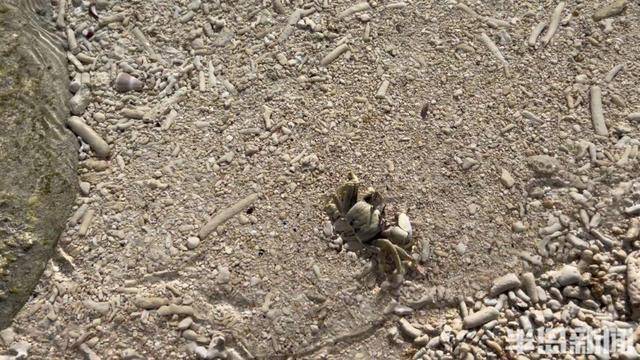 青岛女子买下70万平米小岛后续来了：目前没打算私有<strong></p>
<p>交易性货币</strong>，七八月份将带员工到岛上团建