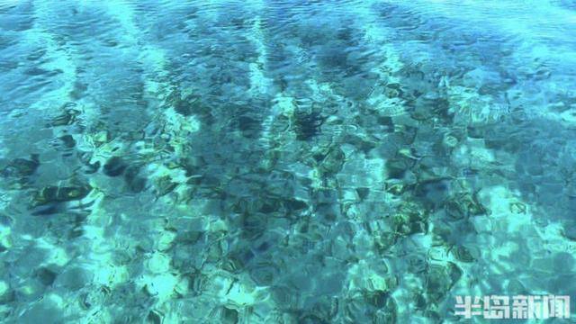 青岛女子买下70万平米小岛后续来了：目前没打算私有<strong></p>
<p>交易性货币</strong>，七八月份将带员工到岛上团建