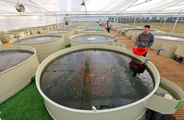 聚焦新春第一会|大V“博浪财经社”:四大原因<strong></p>
<p>币币</strong>,解读山东新春第一会为什么聚焦“改革创新”?