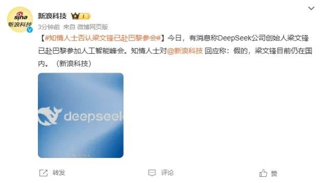 DeepSeek梁文锋用黑科技远程参加巴黎AI峰会?假的<strong></p>
<p>z币网</strong>!