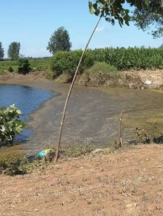 “女生遭侵犯落水被阻挡上岸至溺亡”案续:检方提起抗诉<strong></p>
<p>买币好</strong>,建议死刑