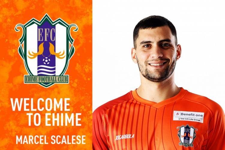 官方：前泰山外援马塞尔加盟J2球队爱媛FC<strong></p>
<p>稳定币</strong>，将身披3号球衣