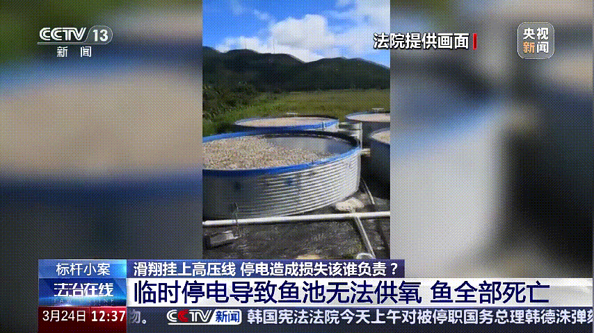 深圳女子被挂高压线!停电救援<strong></p>
<p>虚拟软件</strong>,9池鱼死光!他怒上法庭……