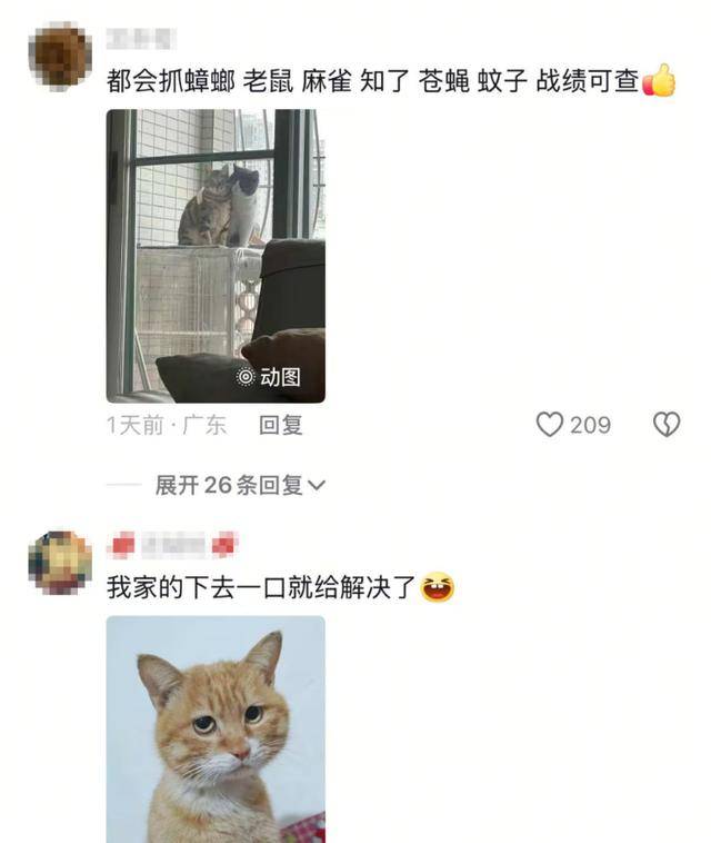 老鼠掉进泳池<strong></p>
<p>虚拟软件</strong>,广东大叔出动鸡猫狗团队,结果全被老鼠吓跑!网友坐不住纷纷晒战绩