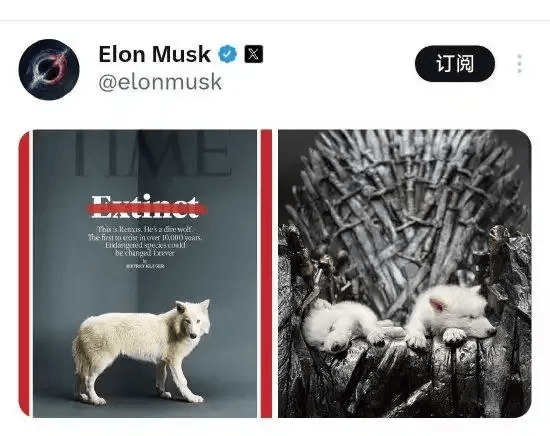 《权力的游戏》中的冰原狼被这家公司复活<strong></p>
<p>藏软件的软件</strong>,马斯克发帖关注