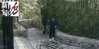 太猖狂！事发上海迪士尼<strong></p>
<p>算网软件</strong>，7人被刑拘