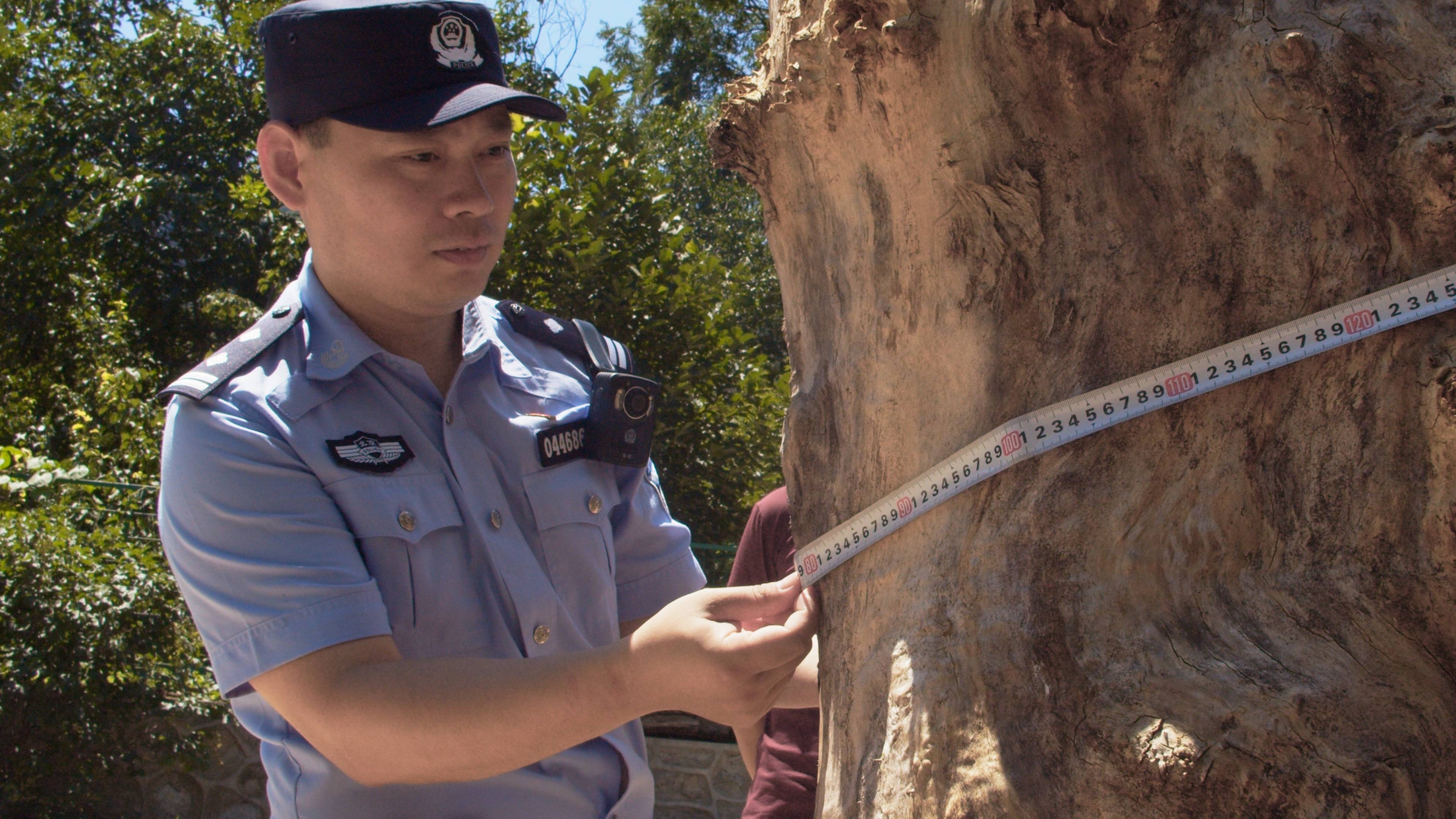 森林警察韩孟祺:乔装成驴友潜伏密林中<strong></p>
<p>软件</strong>,抓获“粘鸟”嫌疑人