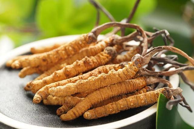 价值18万余元!男子在祁连山非法收购5632根冬虫夏草<strong></p>
<p>软件融合</strong>,构成危害国家重点保护植物罪获刑