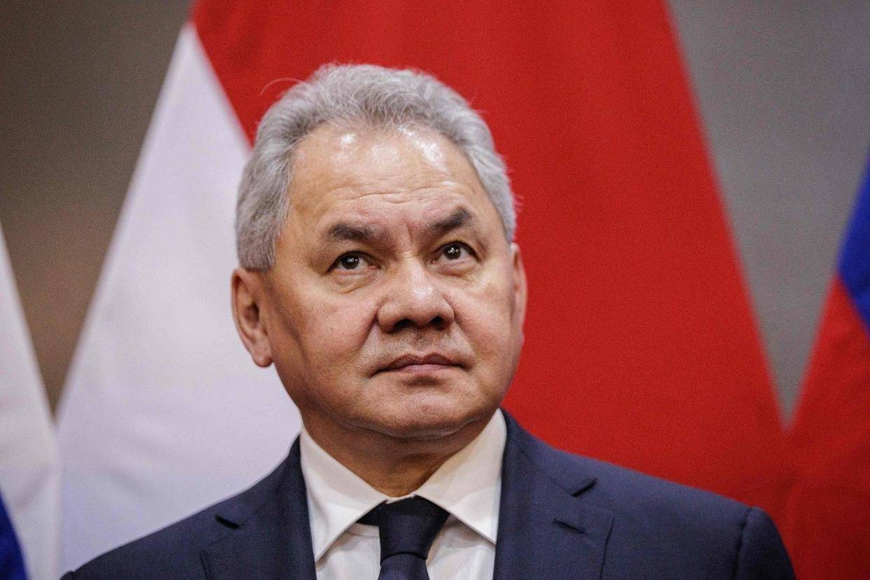 绍伊古:俄愿与美相向而行 但只相信美方具体行动