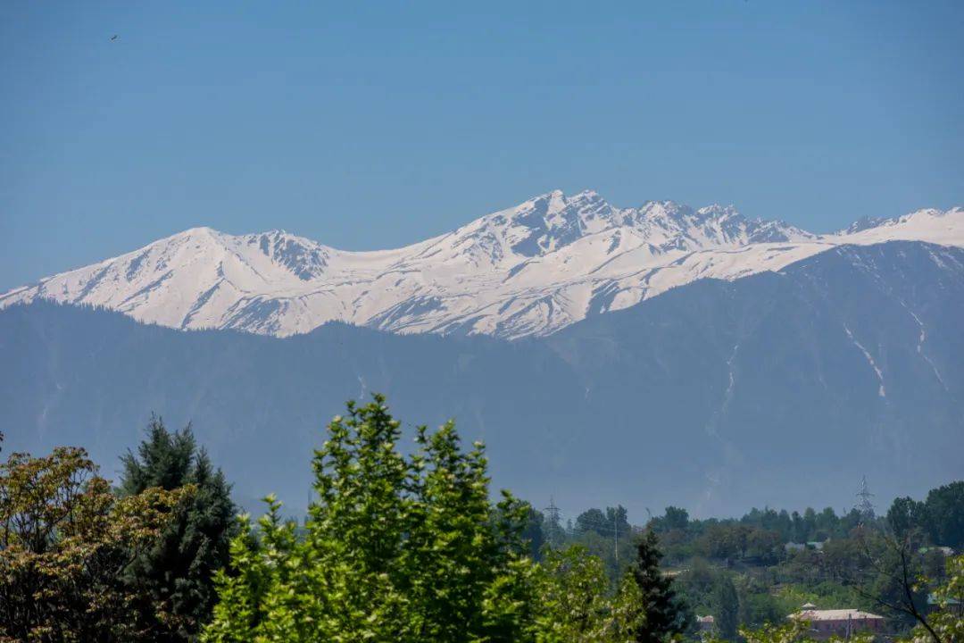 突发!巴基斯坦:击落印军无人机!印控克什米尔地区48处景点被关闭<strong></p>
<p>归零软件</strong>,巴防长:不会爆发核战!中方表态