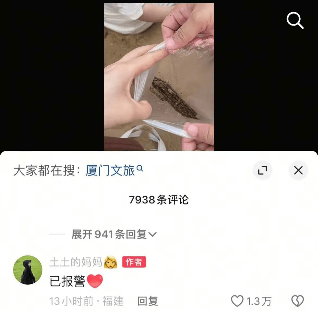 女子在沙滩玩20分钟捡<strong></p>
<p>货币型etf</strong>了小半兜生锈铁钉