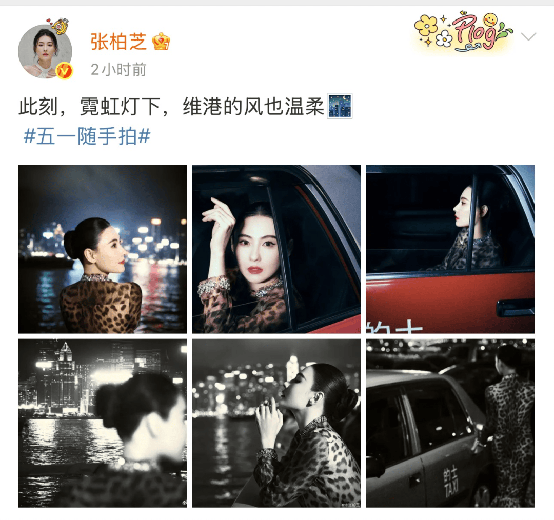 张柏芝身穿豹纹装<strong></p>
<p>tbcc币</strong>，时隔26年再现我养你名场面！烈焰红唇太抢镜