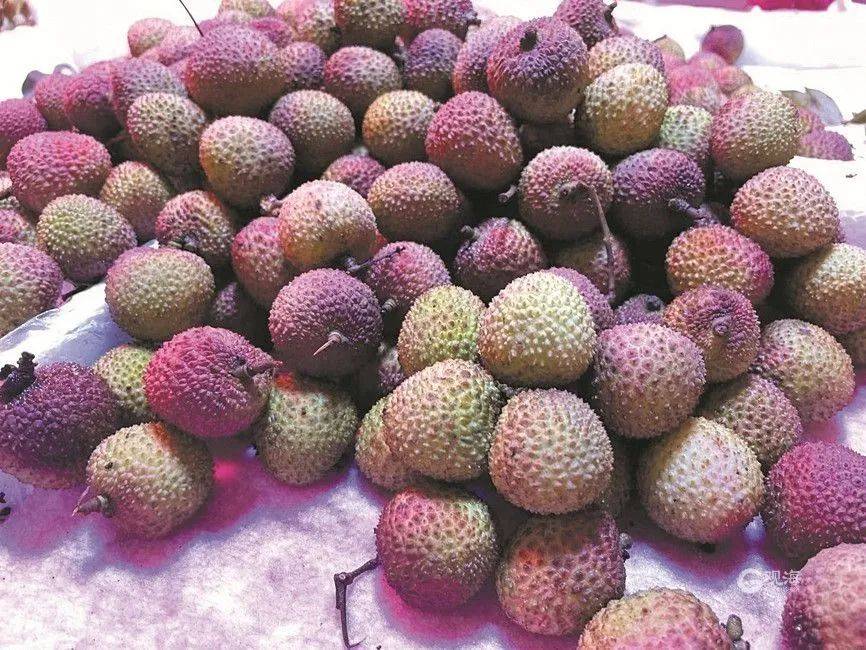 大跳水<strong></p>
<p>矿币</strong>，暴跌40%！老板：一天一个价，估计还要跌