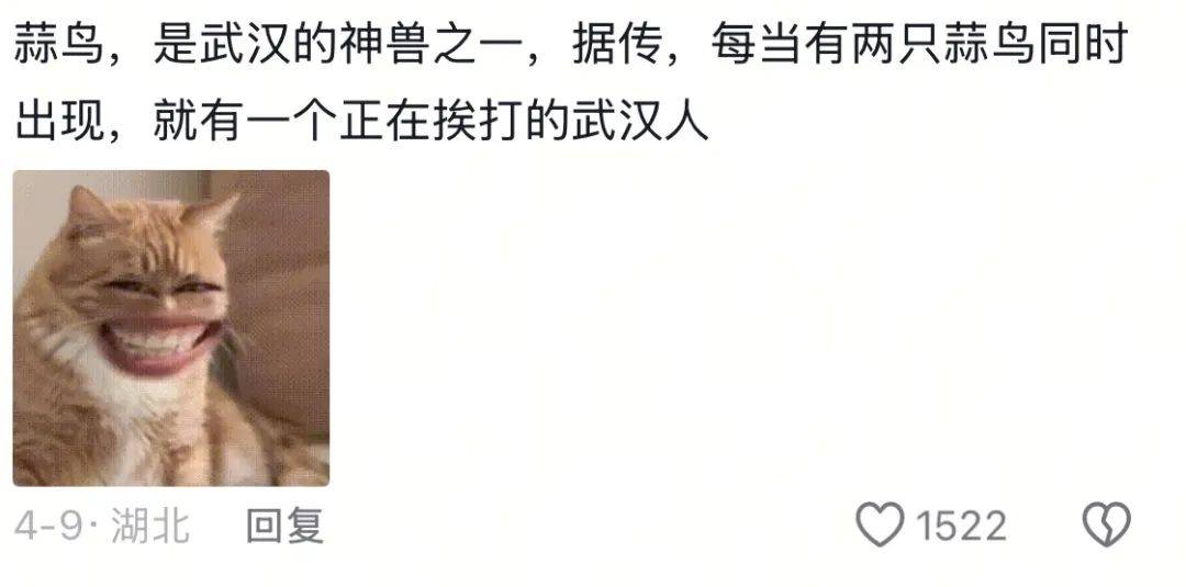 武汉话“蒜鸟”<strong></p>
<p>lpfs币</strong>，最近劝（添）架（乱）唯一指定用语