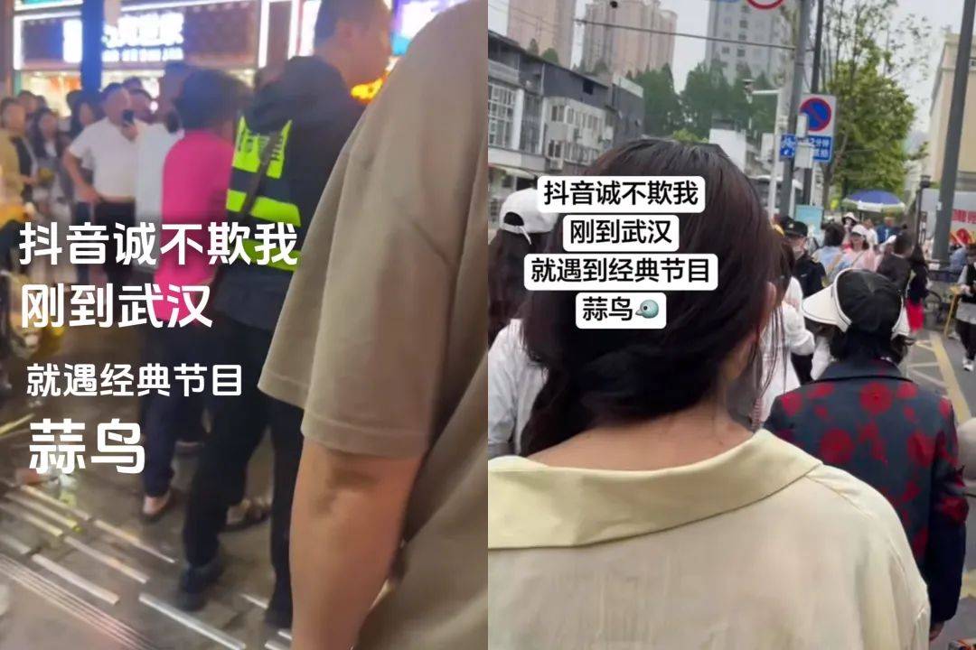 武汉话“蒜鸟”<strong></p>
<p>lpfs币</strong>，最近劝（添）架（乱）唯一指定用语