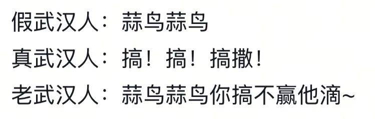 武汉话“蒜鸟”<strong></p>
<p>lpfs币</strong>，最近劝（添）架（乱）唯一指定用语